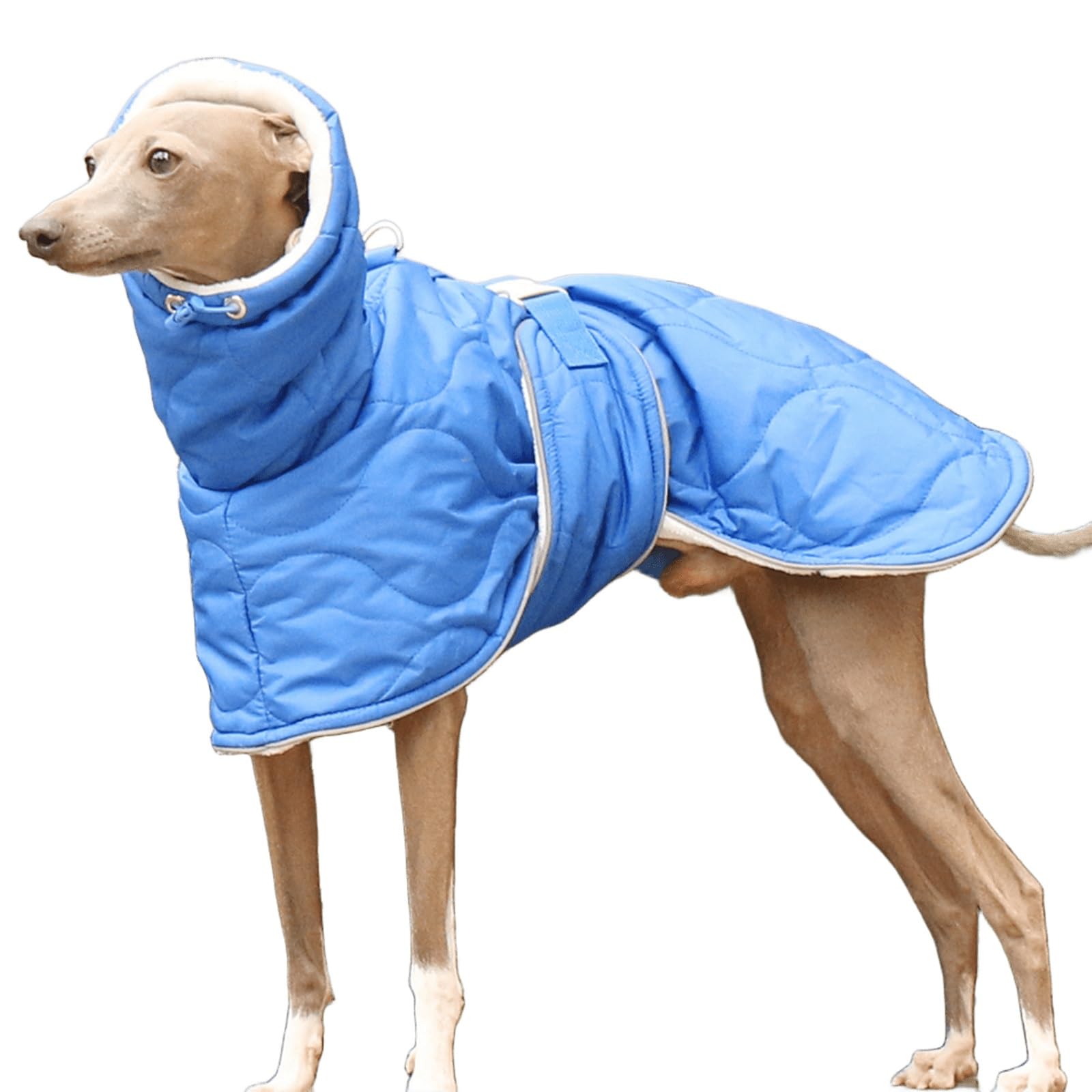 Manteau pour lévrier italien XL bleu veste polaire chaude chien