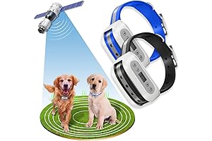 2 Dog Wireless Containment System