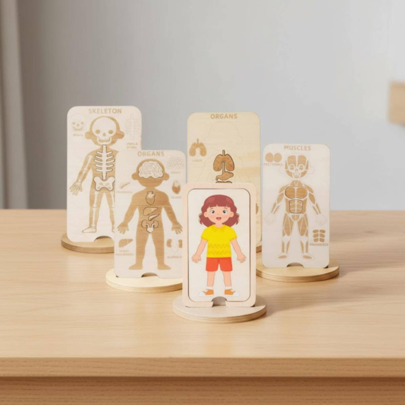 Puzzle Corpo Umano per Bambini in Legno con Strati di Muscoli Pelle Organi Scheletro per Sviluppo Motorio Adatto a Prescolari E, Bambina
