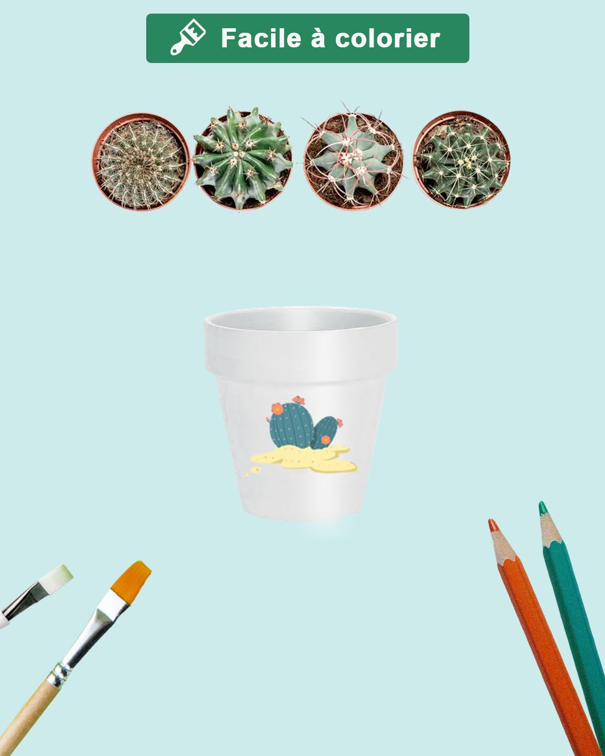 vensovo Lot de 6 Petits Pots de Fleurs en Terre Cuite avec Soucoupe pour Plantes d'intérieur et d'extérieur Blanc 10,16 cm