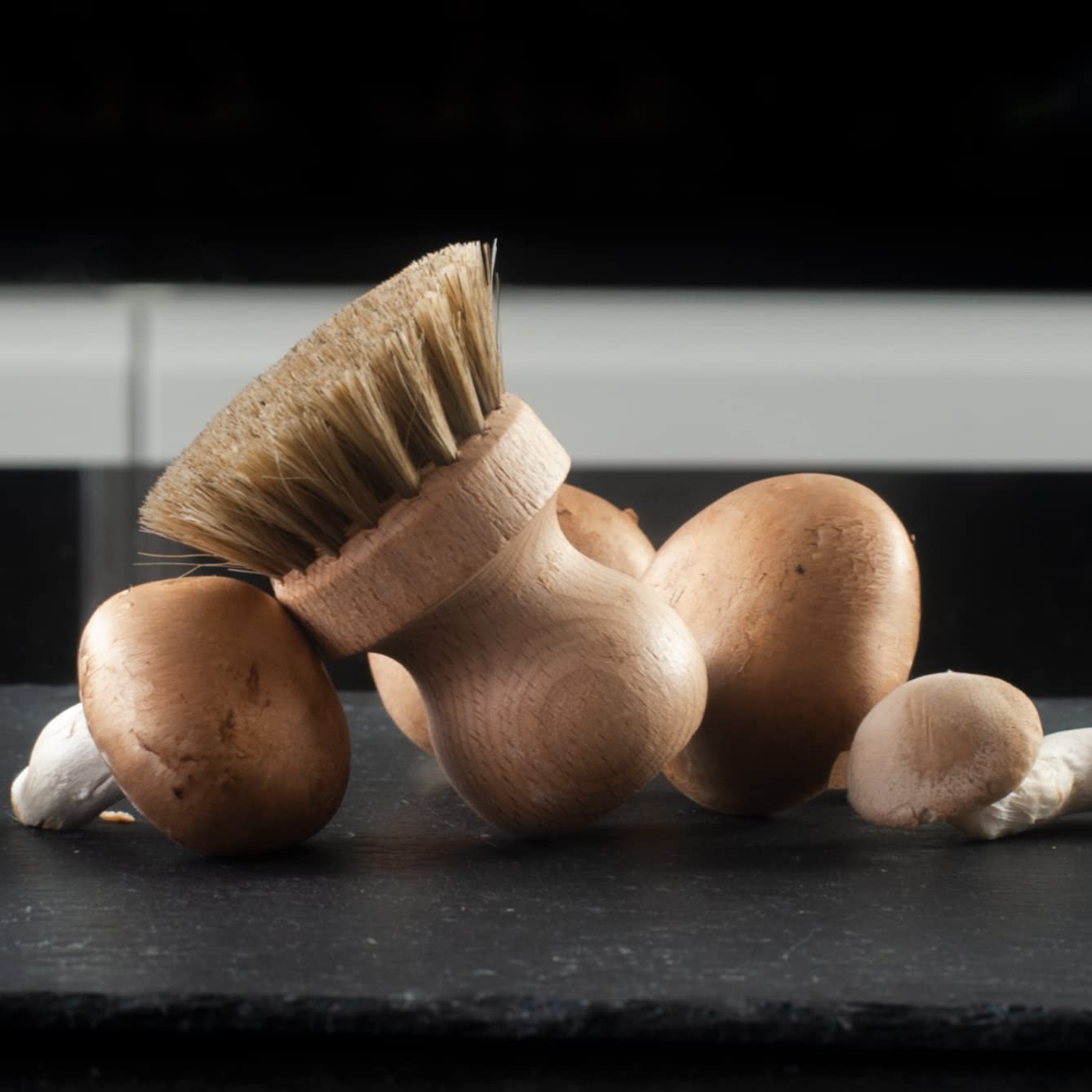 HOFMEISTER lot de 2 brosses à champignons en crin de cheval et bois de hêtre