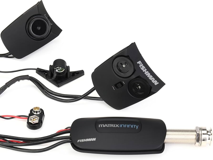 Taylor gs mini Fishman matrix powertap付き Taylor gs mini Fishman