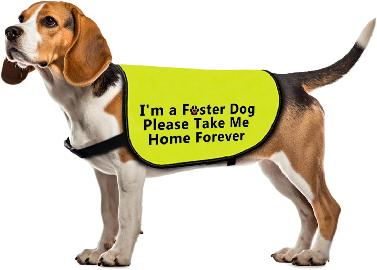 Foster Dog Jacket Vest Please Take Me Home Forever Dog Harness Dog Adoption Slogan Vest (Take Me Home Forever-Large)