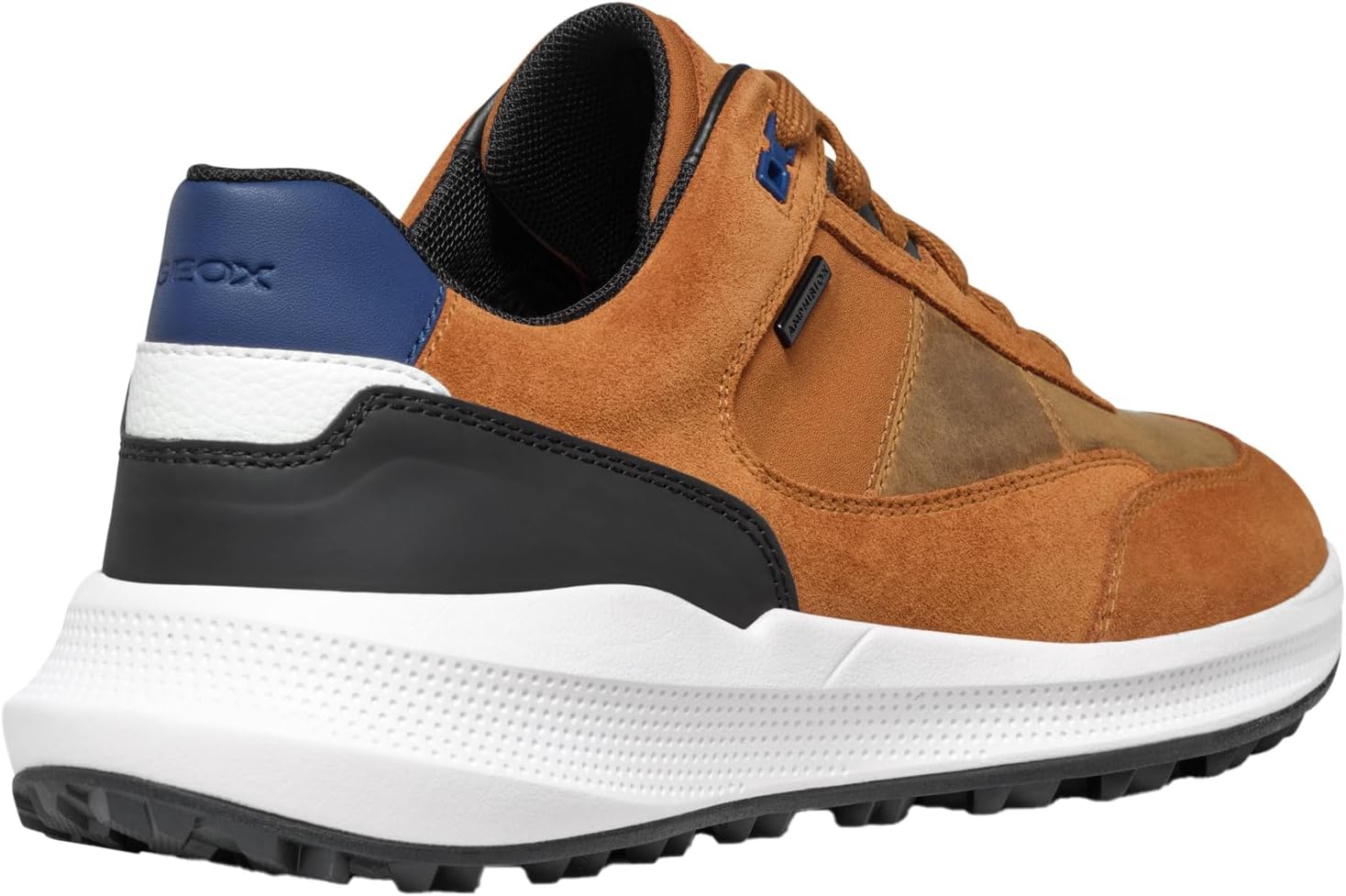 Geox Men's Sneaker