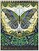 Punch Studio PUN53669 Note Pad Pocket Patchwork Peacock Butterfly