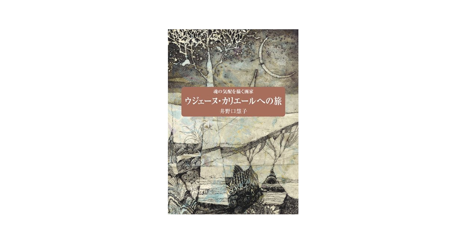 Amazon.co.jp: 魂の気配を描く画家 ウジェーヌ・カリエールへの