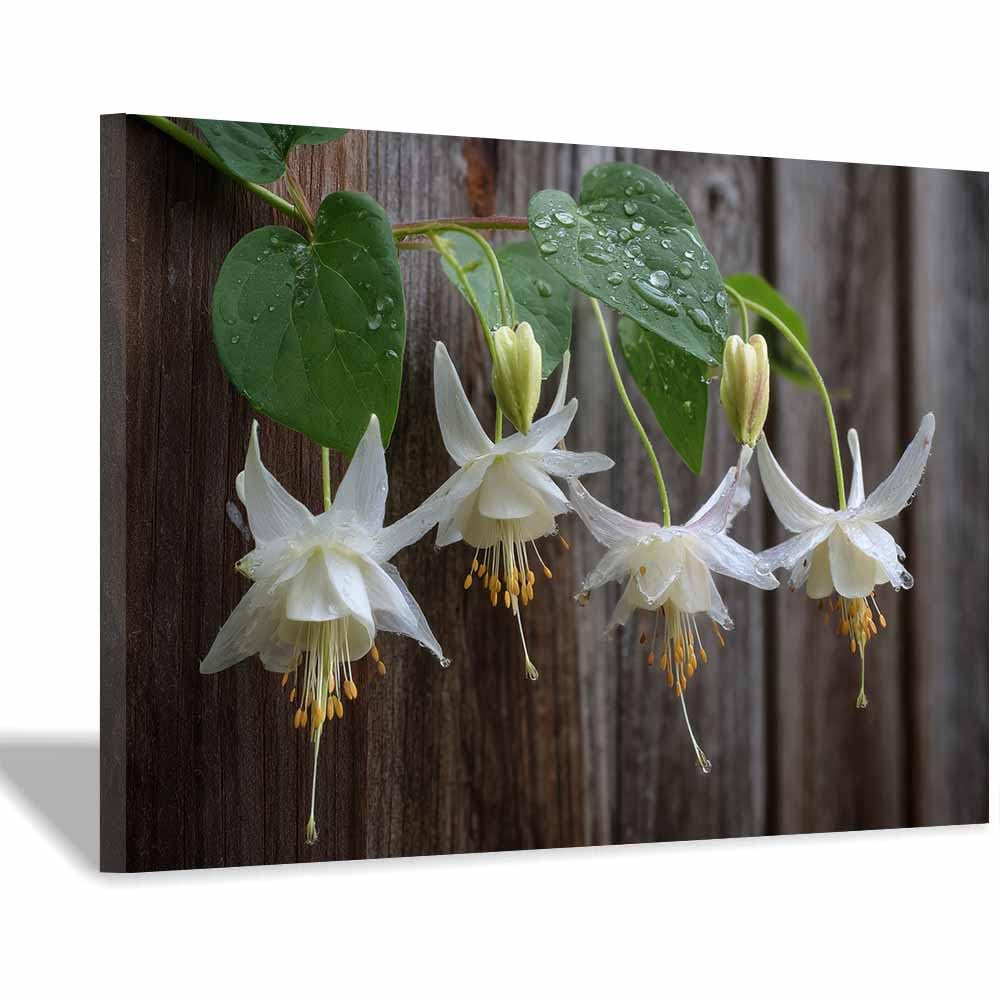 ZAMAEIU Landscape Canvas Painting Globeflowers in blooms Wall Decor, Modern Artwork, For Bedroom Living Room Bathroom Home Office Room Decorations(white)-60x90cm Framed