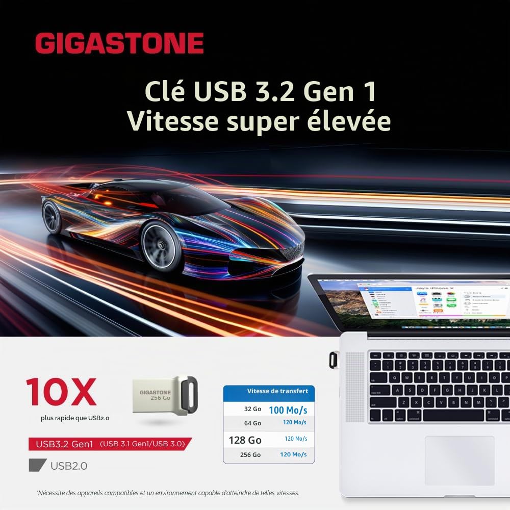 GIGASTONE 256Go Clé USB Nano Flash, Z90 USB 3.2 Gen 1, 100Mo/s Ultra Rapide, Design Métallique, Mini, Stockage et Sauvegarde pour PC/Mac/TV/Voiture, USB 2.0/3.0/3.1 Compatible