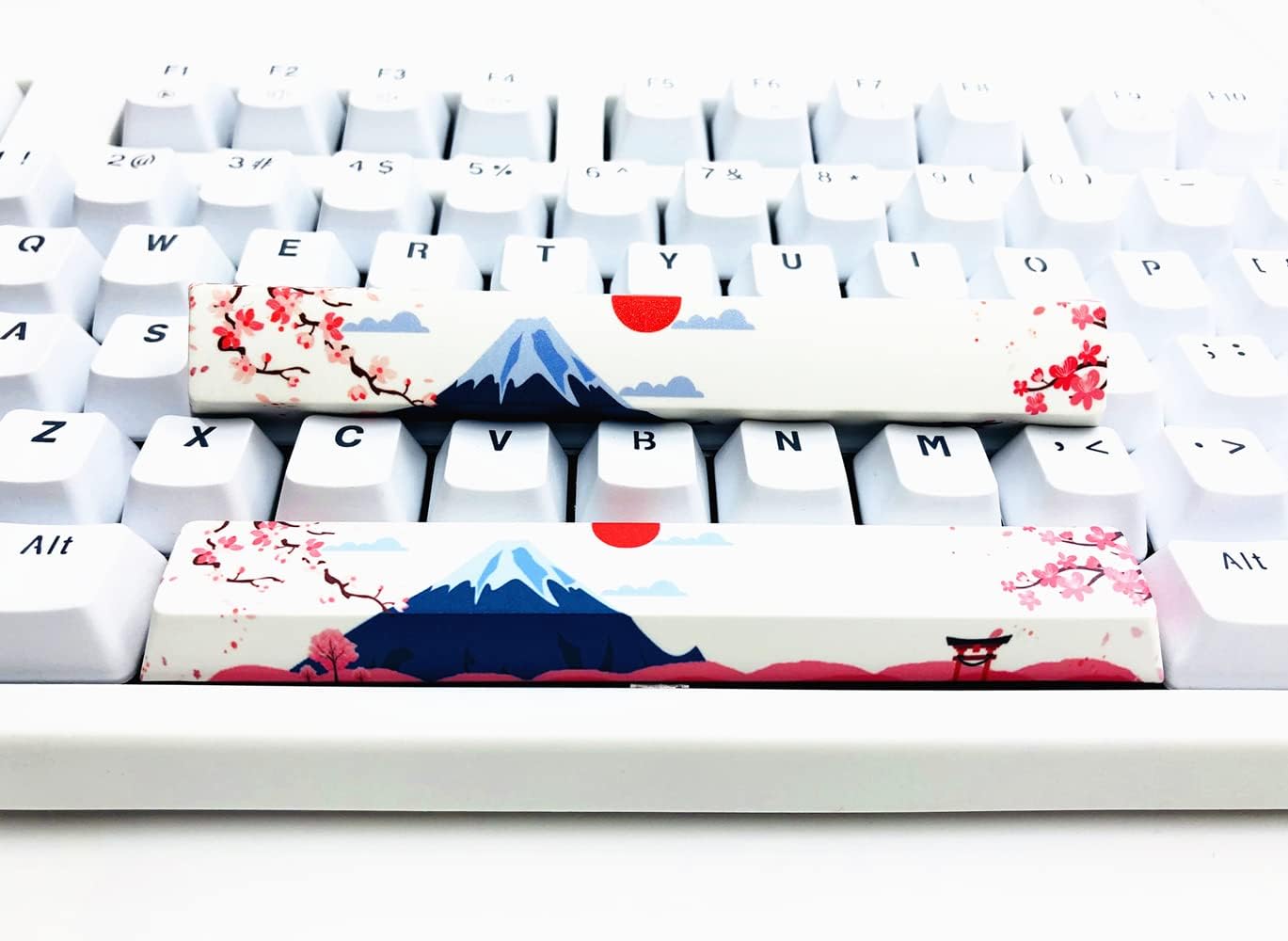 Novelty Spacebar Artisan Keycap PBT Dye Subbed 6.5u Custom Keycaps Cherry Profile for Standard ANSI Cherry MX Mechanical Gaming Keyboards (6.5u Mt.Fuji&Sakura)