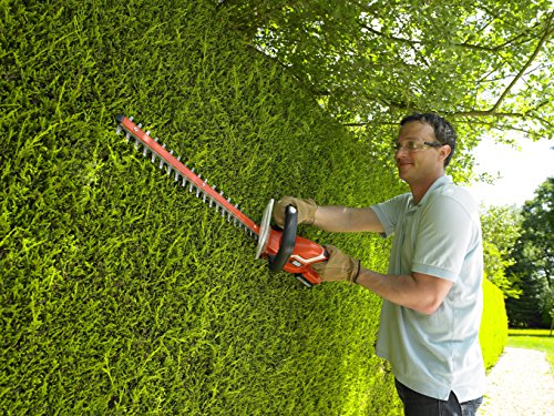 Black & Decker gtc1850l20-gb - 18 V 2.0 Ah Li-ion