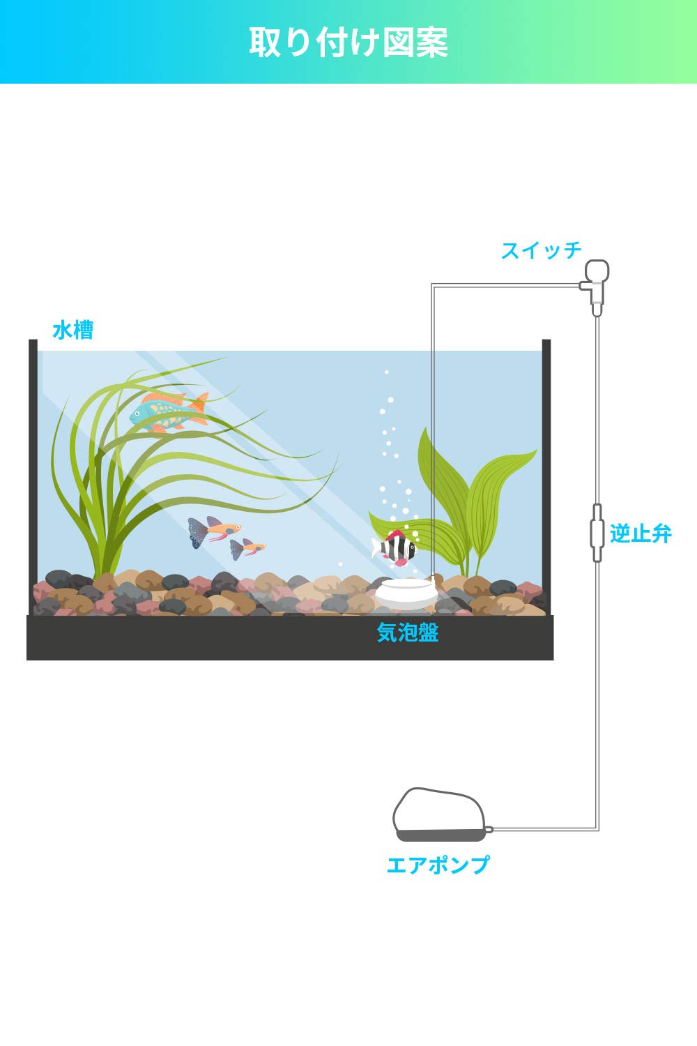 Amazon | Ahomie 水槽 エアレーション強化 エアストーン 直径100mm