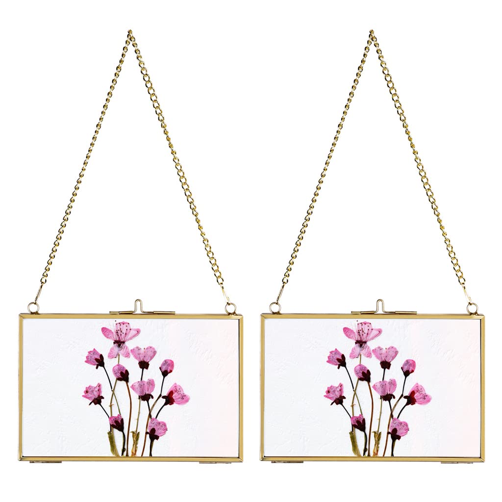 JUXYES Set of 2Wall Hanging Brass Frame for Pressed Flowers, Glass Hanging Picture Artwork Display Frames, Double Glass Floating Style Gallery Wall