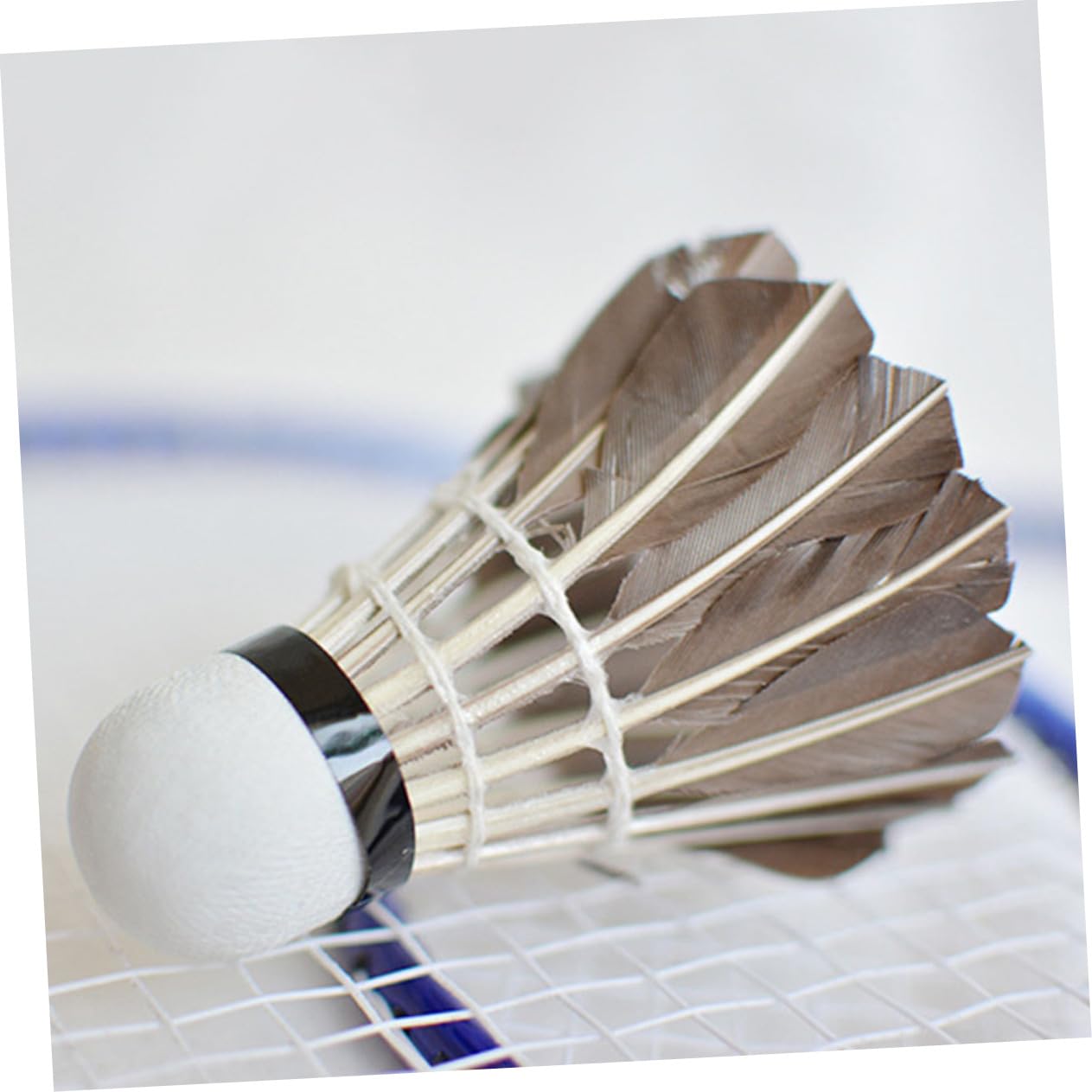 YARNOW Volani da Badminton in Oca Resistente