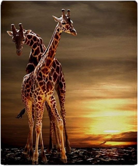 YISUMEI - Soft Fleece Blanket - Giraffes, 125 x 200 cm Throw Suitable for Sofa or Bed