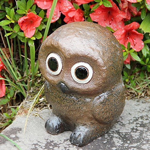 Amazon｜信楽焼 5号丸目【fu-0069】 ふくろう 梟 陶器 信楽焼き 焼物