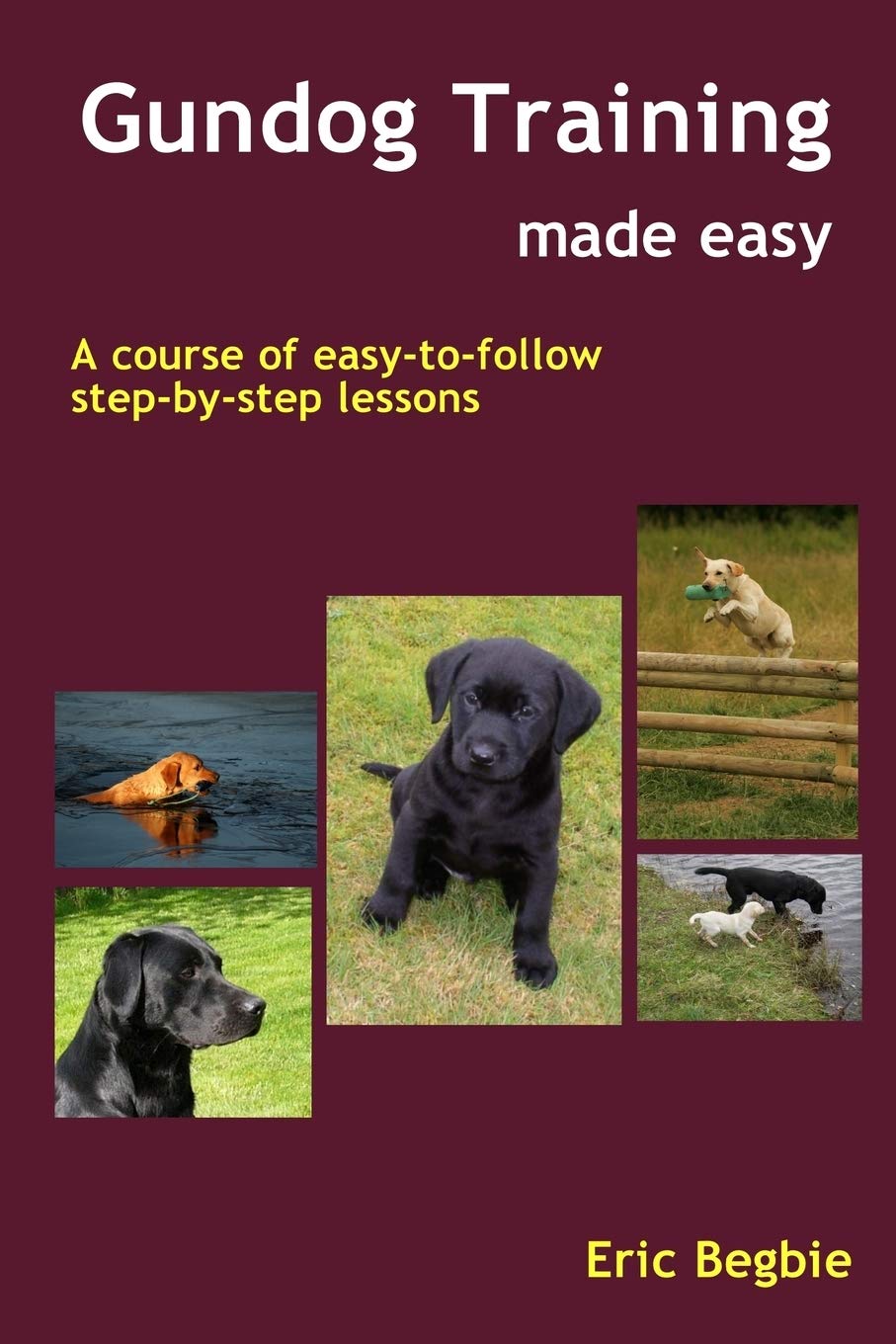 Gundog Training Made Easy 2 Gundog Training Made Easy