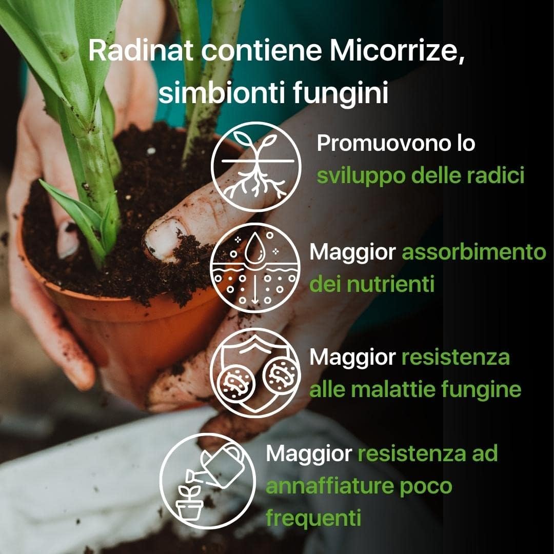 ZOMA RADINAT 100% naturalny proszek do ukorzeniania sadzonek, proszek ukorzeniający z grzybami rozwijającymi się i kiełkującymi, biostymulator korzeni