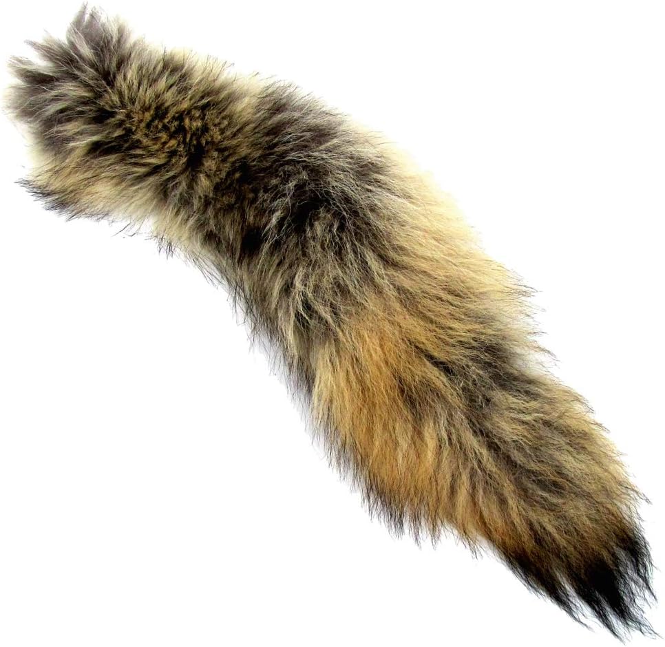 Treasure Gurus Real Coyote Tail Taxidermy Hide Tanned Fur Pelt Car Truck Keyring Purse Charm