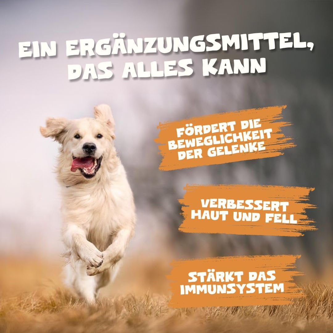 Pets Purest Lachsöl für Hunde & Katzen 1000ml – Reines Norwegisches Lachsöl mit Omega 3-6-9 & Vitamin E – Unterstützt Haut, Fell, Gelenke & Immunsystem – 100% Natürlich