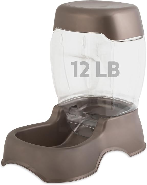Transparent editorial object representing Lifestyle