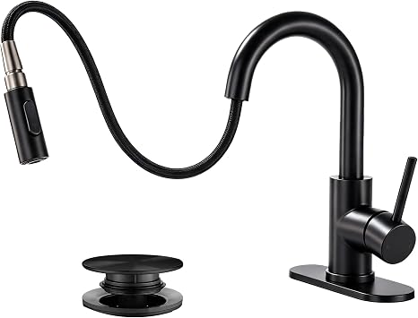 Black Bathroom Sink Faucet with Pull Down Sprayer