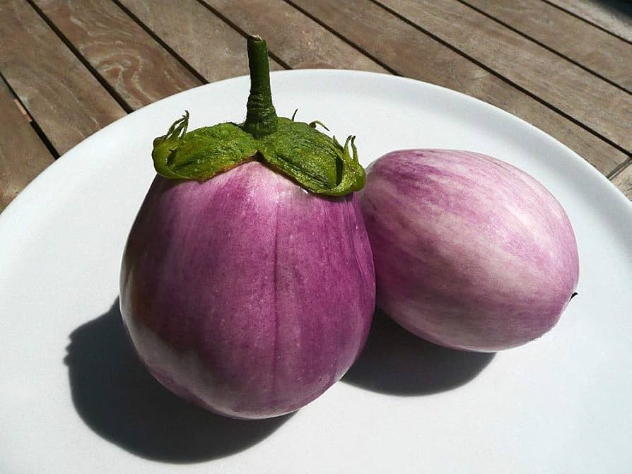 Amazon.com : Seeds Eggplant Aubergine Round Mix Heirloom
