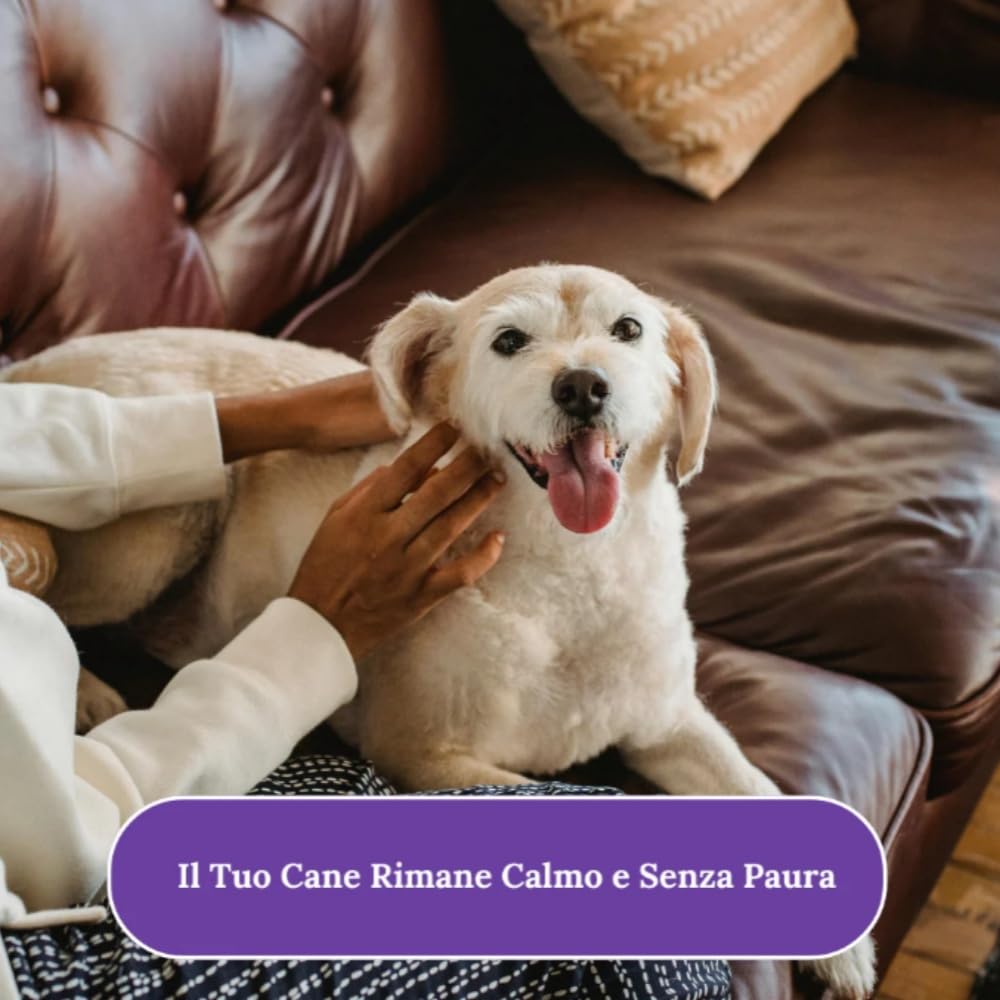 MEIION Hiwoof Smooth Groom - Lima Elettrica per Cani Silenziosa, Lima Unghie Cani Piccoli e Grandi, Lima per Unghie silenziosa con Luce LED