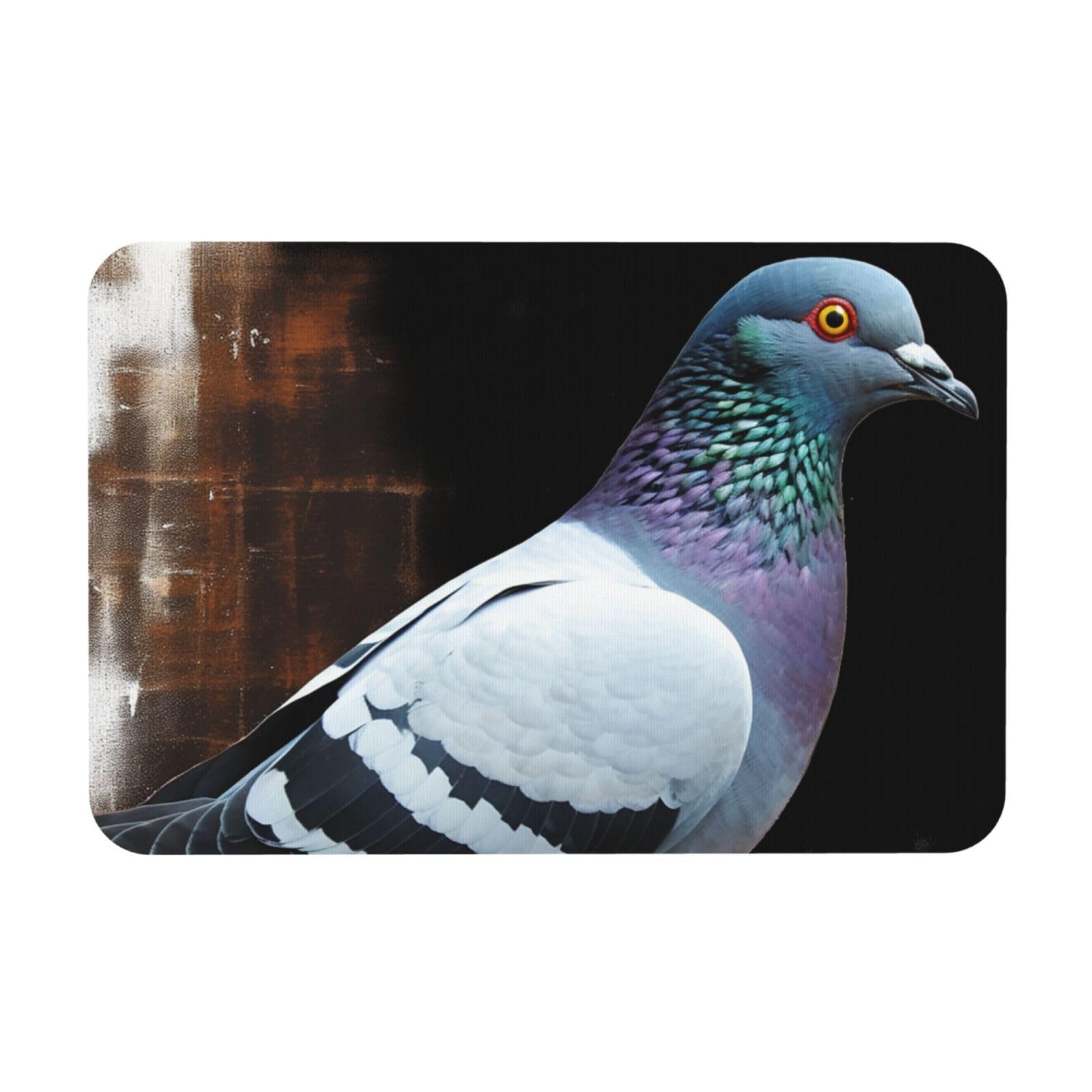 Tapis de bain antidérapant pierre de pigeon absorbant lavable 60x40