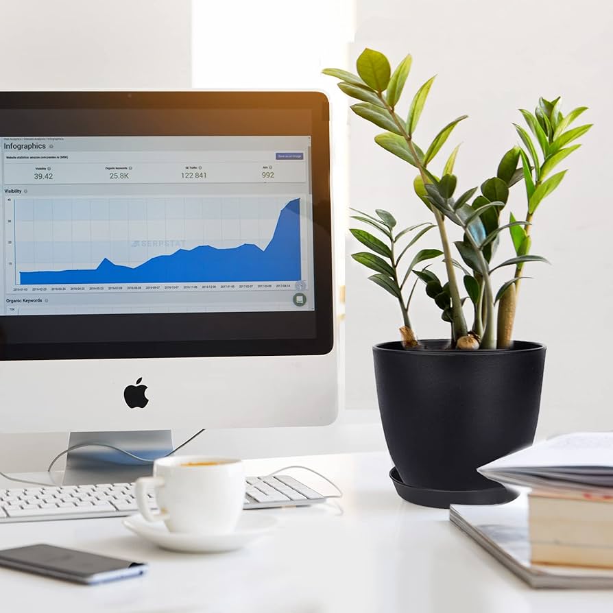 Amazon.co.jp: SwinDuck 植木鉢 12個パック 6インチ モダン