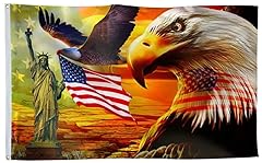 Eagle Sunset Freedom