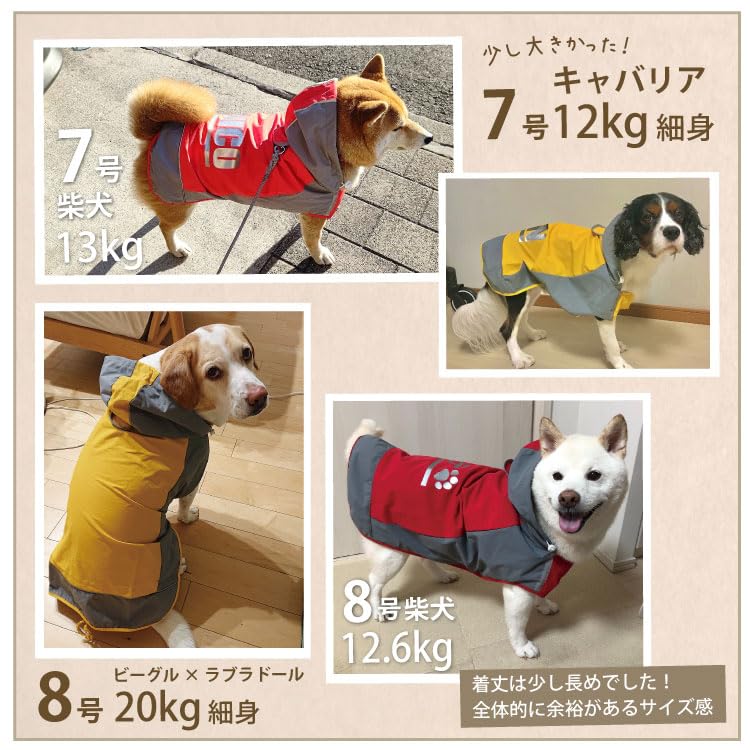 Amazon | 名入れ対応 小型犬 中型犬 イージー レインコート 防水 撥水