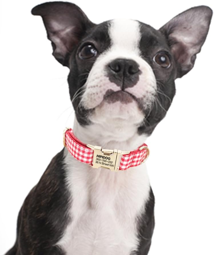 hipidog Personalized Dog Collar, Custom Engraving with Pet Name and Phone Number, Adjustable Tough Nylon ID Collar, Matching Leash Available Separately (Plaid Red Pink)