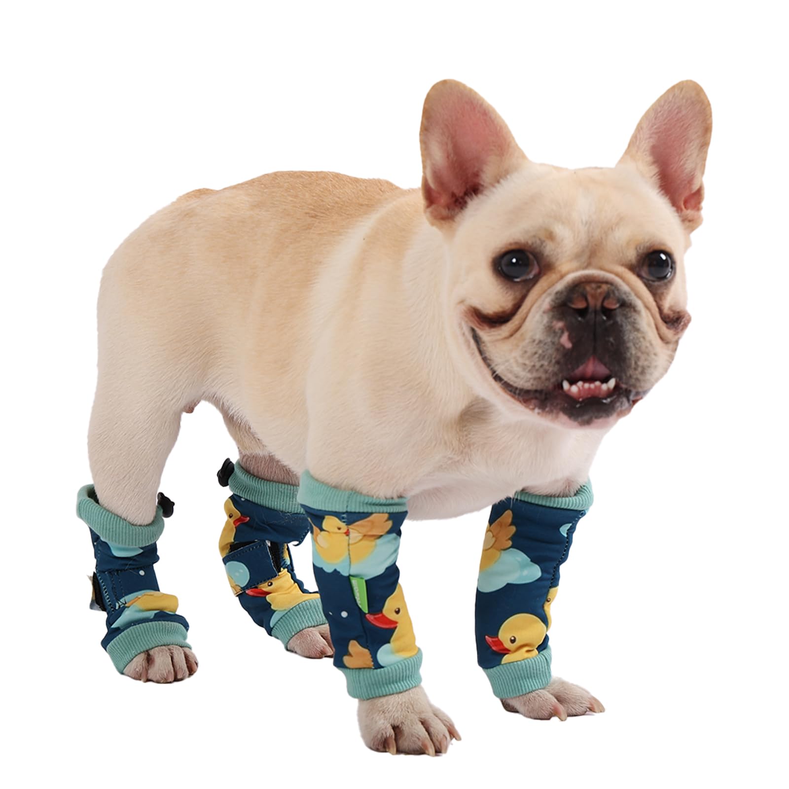 Manchon anti-léchage pour chiens PetWarm lot de 4 manchons de récupération