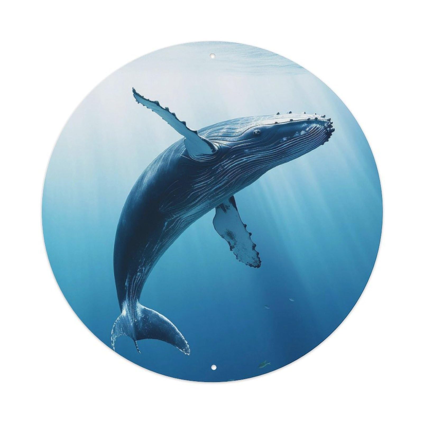 Marine Animal Whale Metal Tin Sign