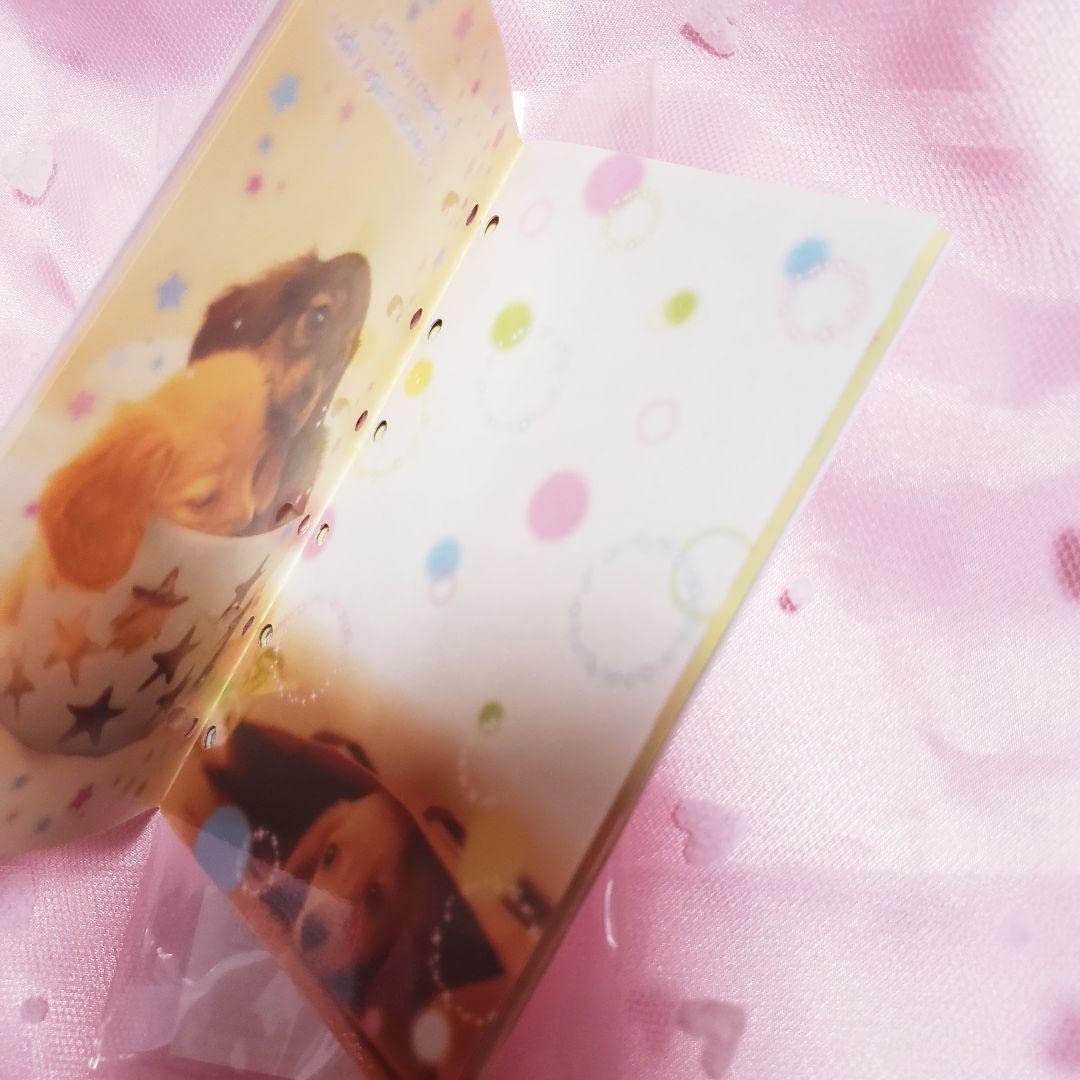 Amazon.co.jp: シール手帳 犬 平成レトロ シールブック San-X