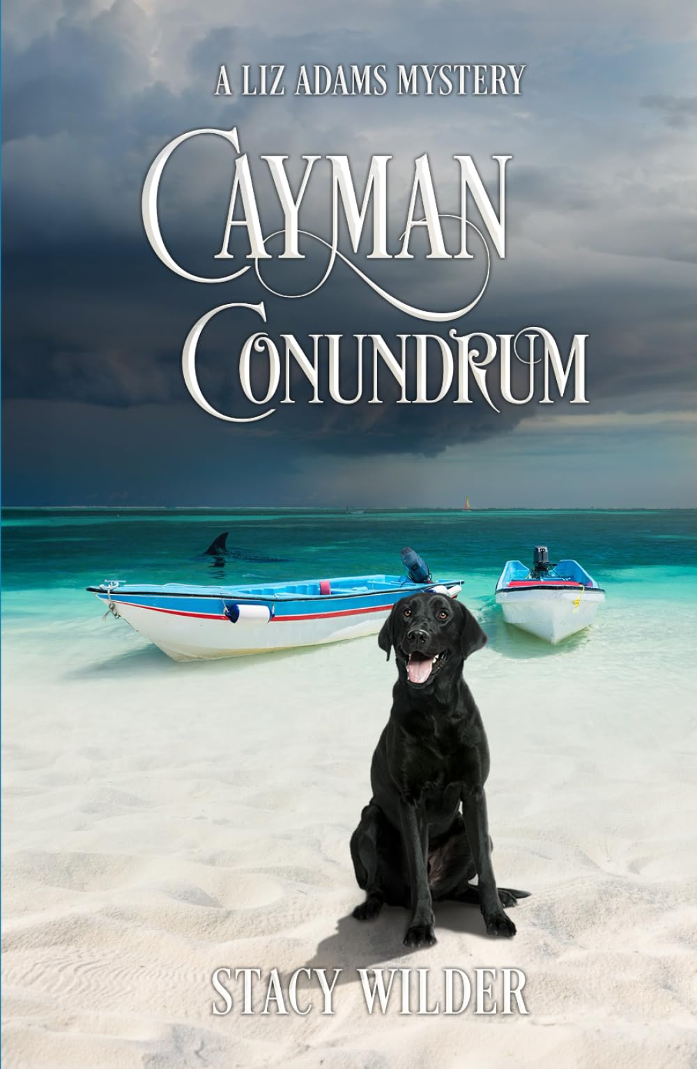 Cayman Conundrum: A Liz Adams Mystery Hardcover – 29 June 2024