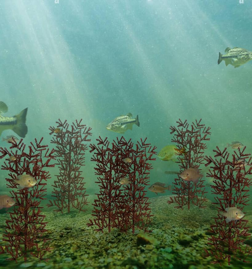 Ugly Tree Artificial Lake and Pond Habitats, brown