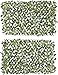 Verseo Faux Ivy Greenery Yard Decoration, Ivy Hedge Privacy Screen, Expandable 2-Pack