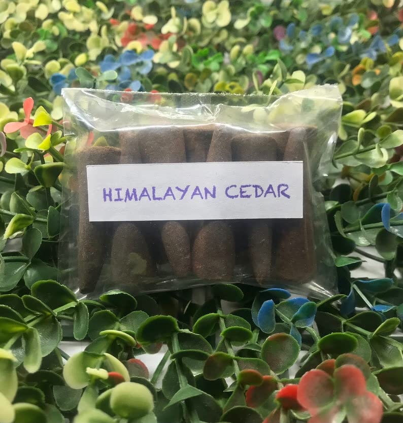 HAPPY SURROUNDINGS Himalayan Cedar Incense Cones (50 Cones) - 100% Natural Incense Cones - Traditional Indian Incense (No Damaged Cones Hand Sorted Packet)