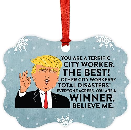 Miniatura 135 de Andaz Press Presidente Donald Trump Fancy Frame Recuerdo Adorno de Navidad, Regalo de broma de Técnico de Farmacia, 1 paquete, divertidas ideas