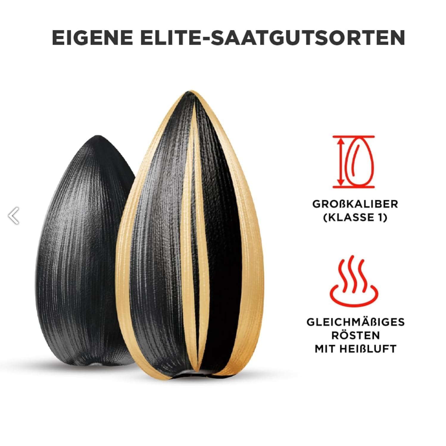 SMART Sonnenblumenkerne geröstet und gesalzen 300g 10er Pack