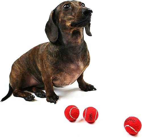 Miniatura 3 de Midlee Mini pelotas de tenis para perros, color rojo, 1.5 pulgadas, paquete de 12 pelotas de tenis pequeñas para mascotas