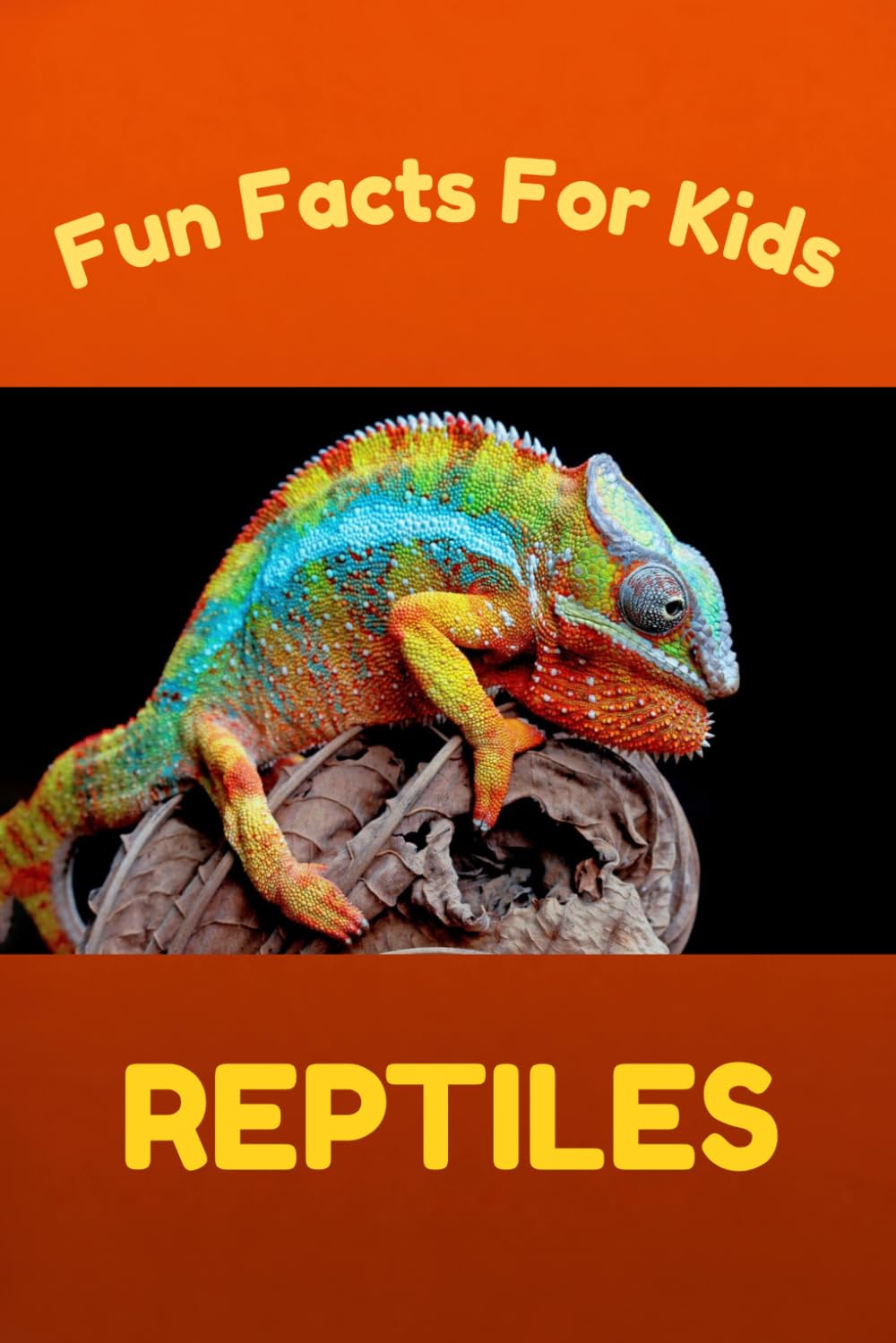Fun Facts for Kids: Reptiles