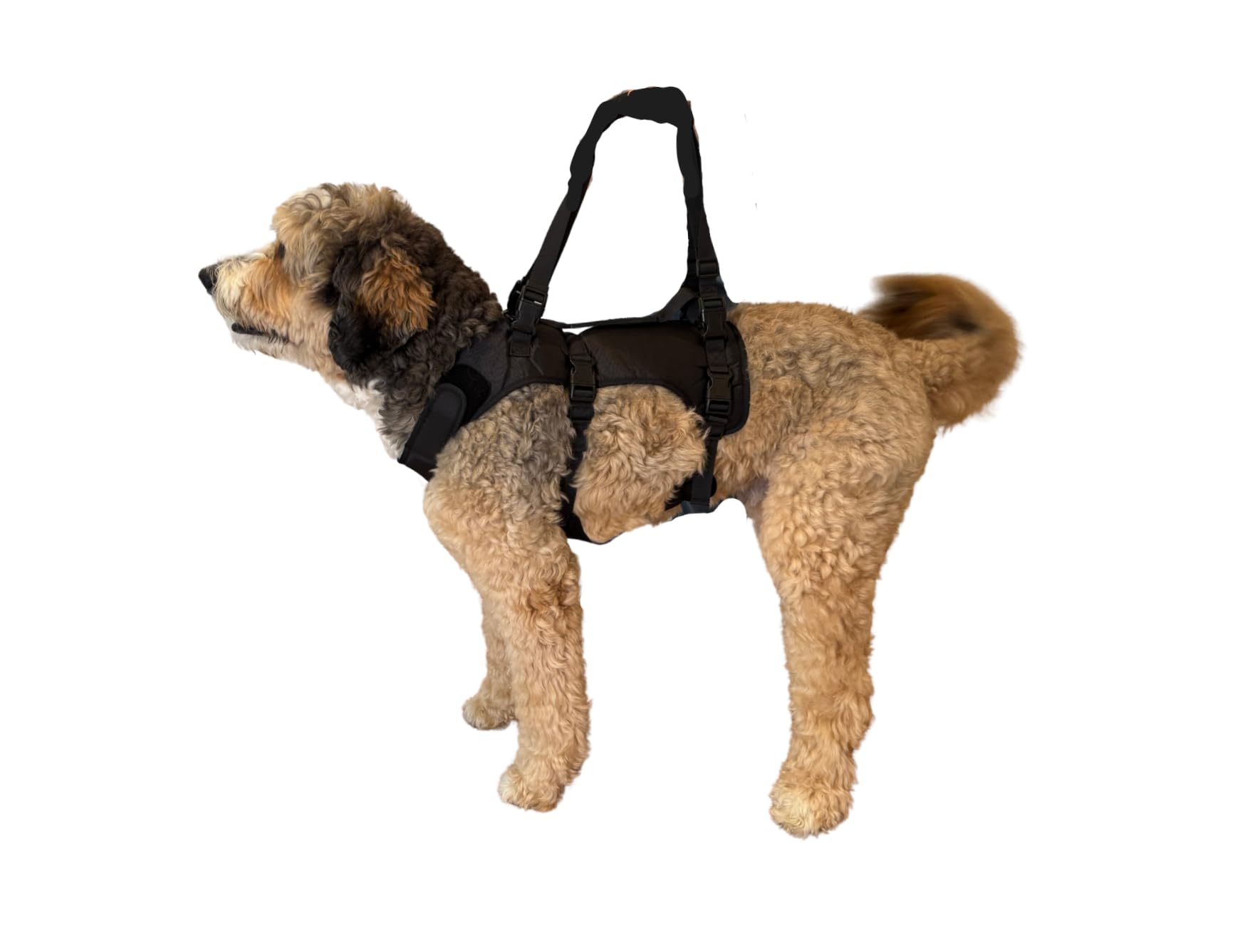 Doggie Stylz Hundegeschirr für große Hunde, Ganzkörperstütze, Tragetasche, Hundetrage mit verstellbaren Griffen, Erholungsweste für ältere Hunde, Arthritis, Gelenkverletzungen, Mobilitätshilfe, Rücken
