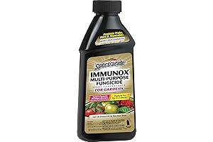 Spectracide Immunox Fungicide Spray Concentrate: Shield Your Garden for Up to 2 Weeks