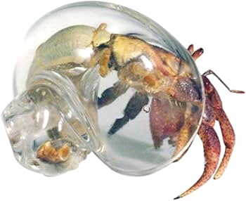 金属製 海洋生物 アンティーク雑貨　真鍮　ヒトデ　貝　ヤドカリ　ペーパーウェイト 金属製 海洋生物 アンティーク雑貨 真鍮 ヒトデ 貝 ヤドカリ