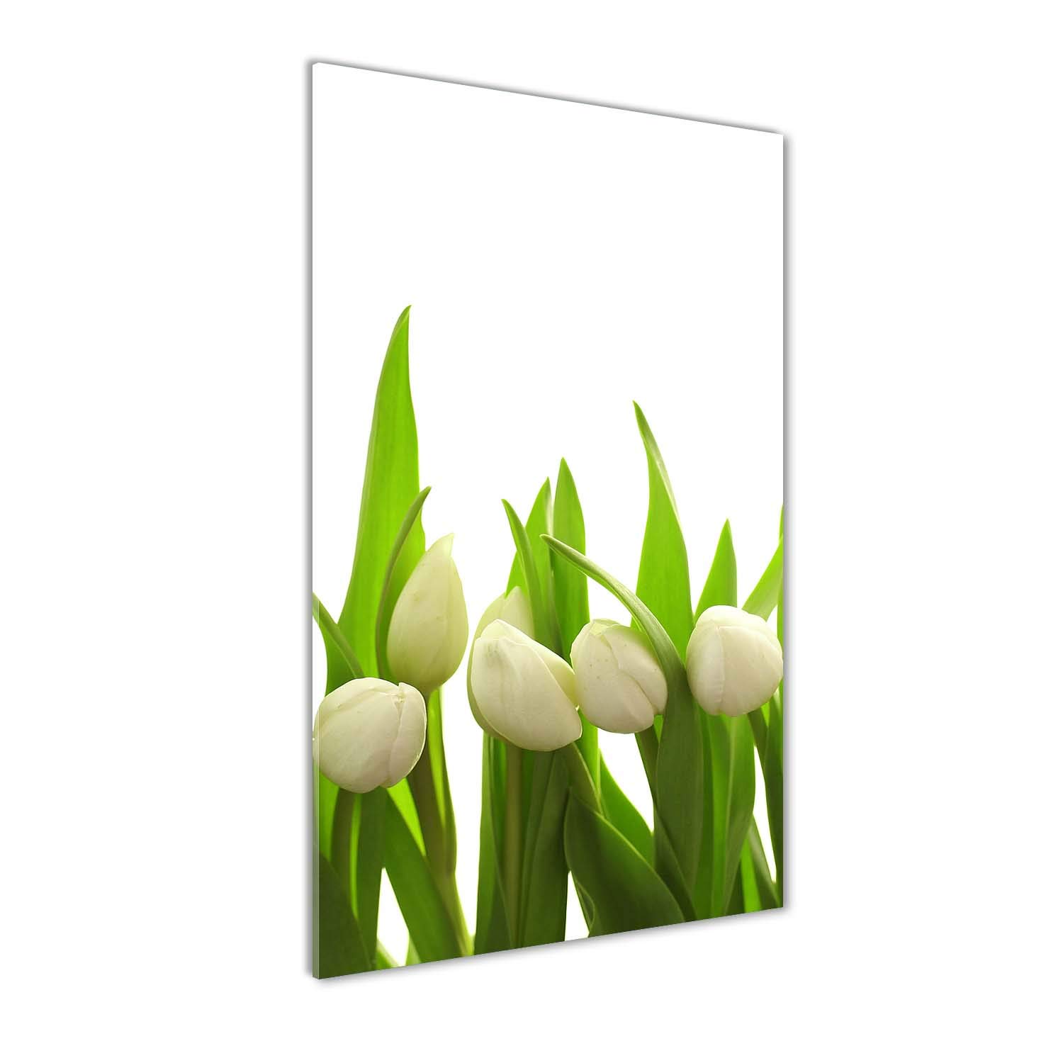 Tableau photo décorative fleurs et plantes vert pour grand mur de salon moderne
