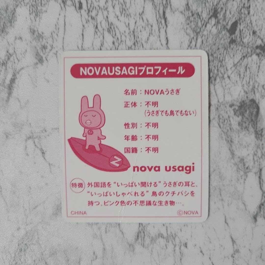 NOVA 英会話のノバ 薄手ジャケット ノバうさぎプリント 世界中の仲間と英語を楽しもう！＜駅前留学NOVA＞新NOVAうさぎCMが