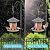 Bird Feeders for Outdoors, eWonLife Bird Feeder Outside Hanging, Squirrel Proof, Easy Clean and Fill, Adjustable Feeder with Sturdy Wire and Roof, Plastic, for Garden, Backyard, Terrace(25 OZ/Pack)