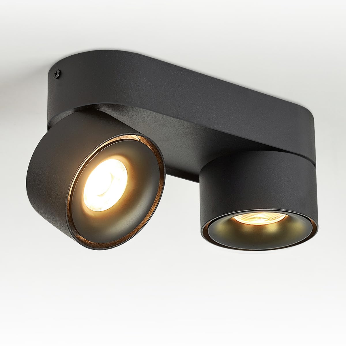 Budbuddy 2X12W Plafonnier LED 2 Spots Orientables Spots de Plafond Pivotants Plafonnier Apparent Noir Rails de Spots Intérieur Moderne pour Couloir, Salon, Bureau Boutique et Plus 3000K